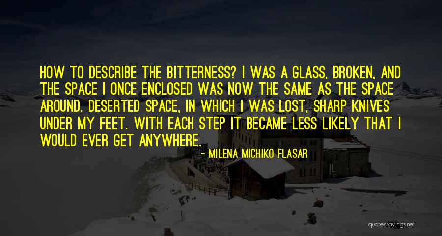 Milena Michiko Flasar Quotes 442308