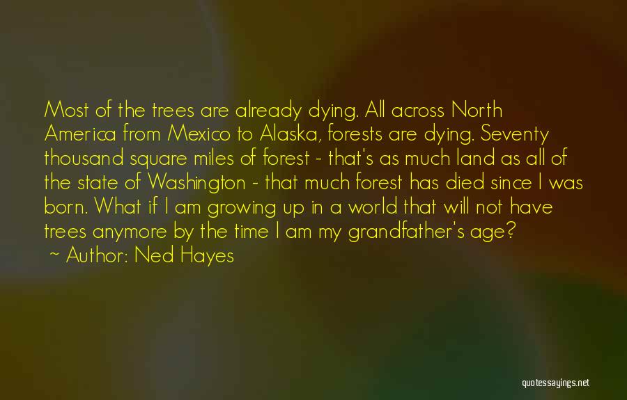 Miles And Alaska Quotes By Ned Hayes
