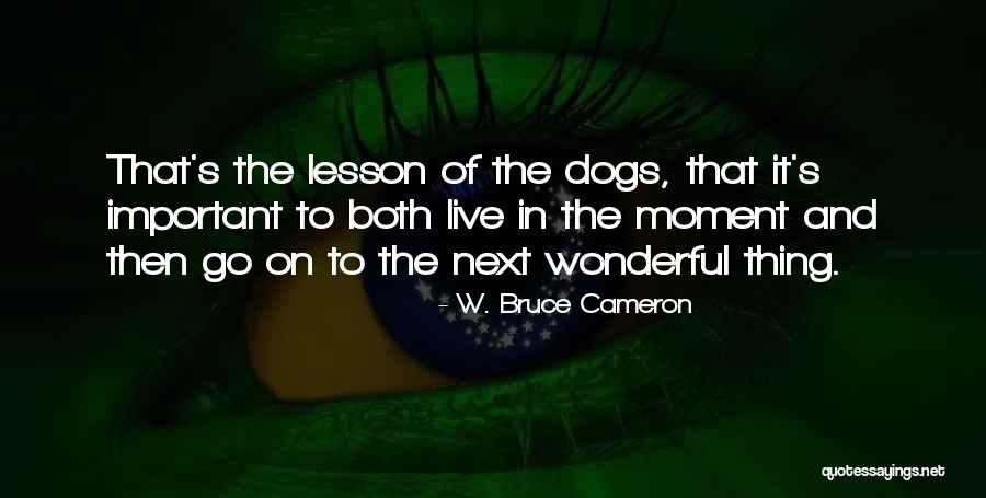 Miles Straume Quotes By W. Bruce Cameron
