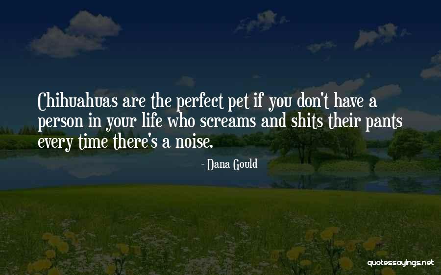 Milestone Accomplishments Quotes By Dana Gould Milestone Accomplishments Quotes By Dana Gould