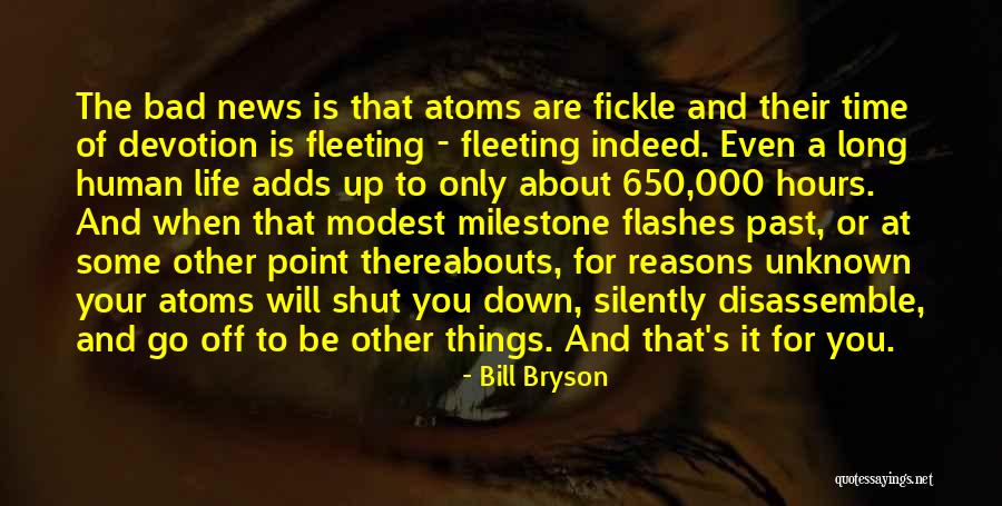 Milestone Quotes By Bill Bryson