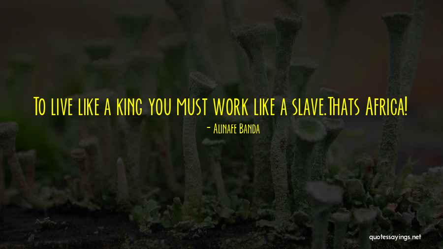 Mileurs Guide Quotes By Alinafe Banda Mileurs Guide Quotes By Alinafe Banda