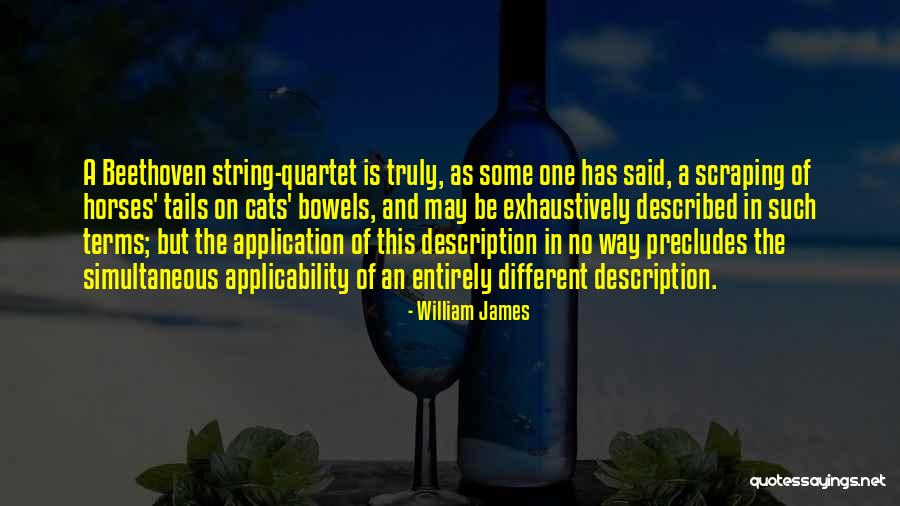 Milewski Insurance Quotes By William James Milewski Insurance Quotes By William James