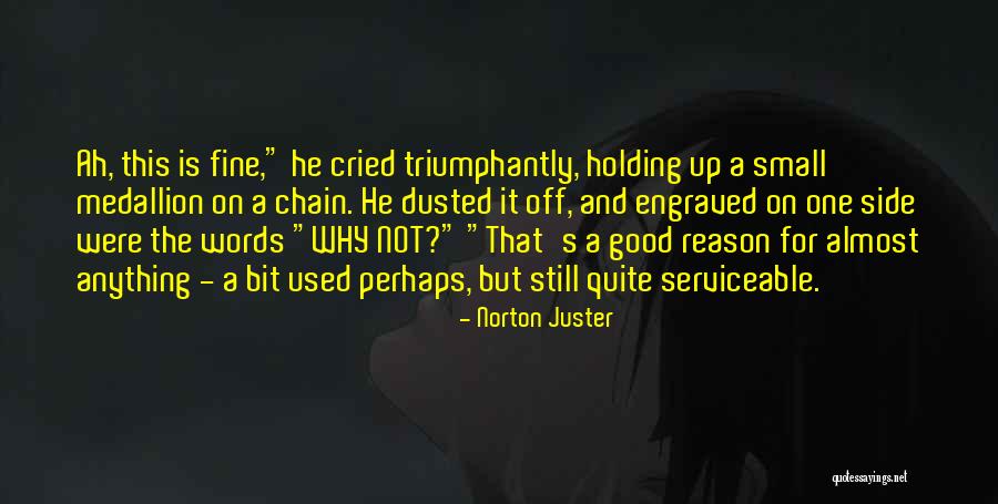Milhas Tap Quotes By Norton Juster Milhas Tap Quotes By Norton Juster
