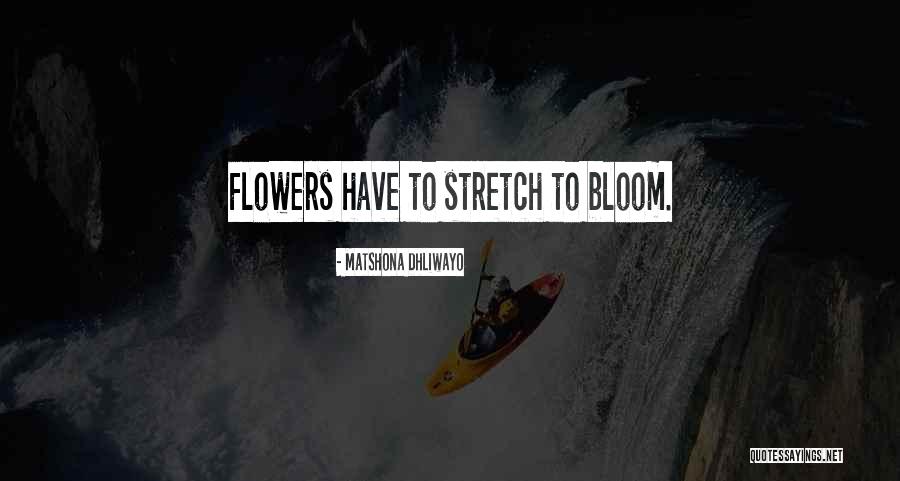 Miliard Ri Cr Quotes By Matshona Dhliwayo Miliard Ri Cr Quotes By Matshona Dhliwayo