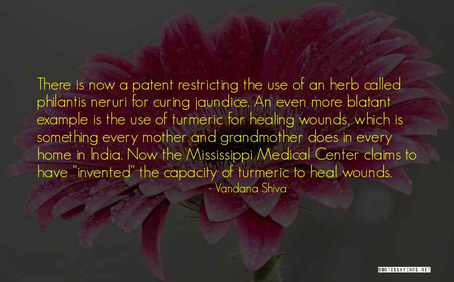Milicevic Venue Quotes By Vandana Shiva Milicevic Venue Quotes By Vandana Shiva