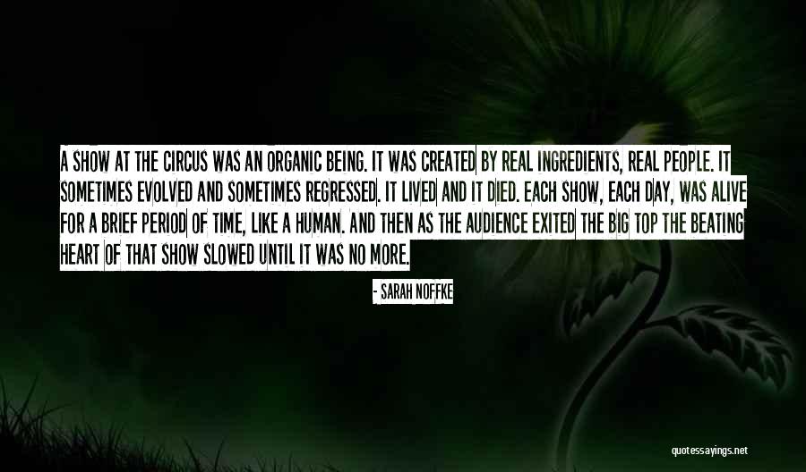 Milinko Isakovic Quotes By Sarah Noffke