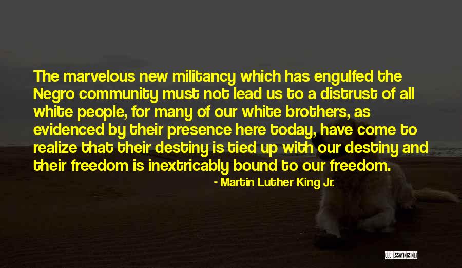 Militancy Quotes By Martin Luther King Jr.