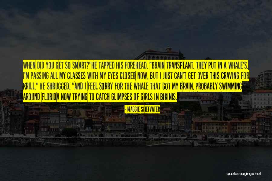 Military Code Quotes By Maggie Stiefvater Military Code Quotes By Maggie Stiefvater