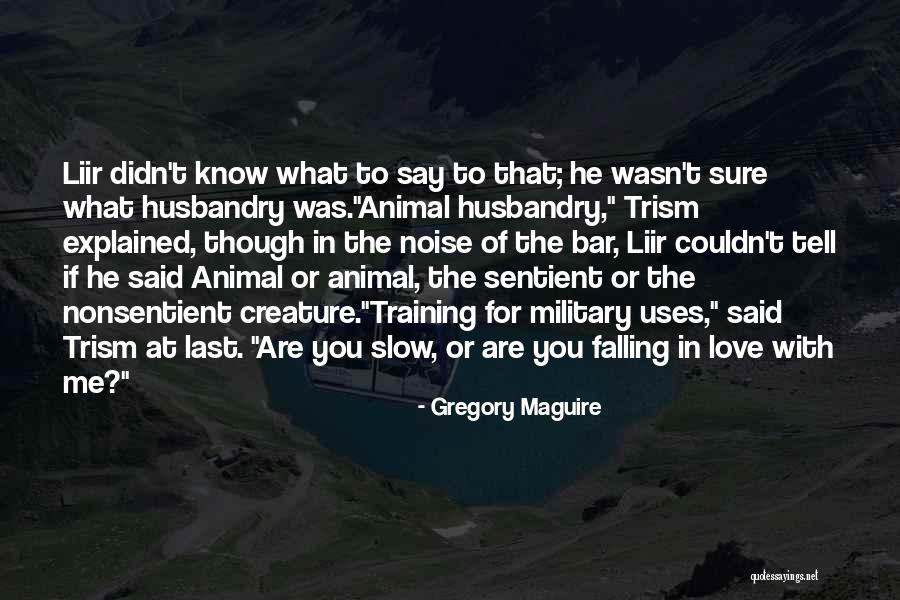Military Love Quotes By Gregory Maguire Military Love Quotes By Gregory Maguire