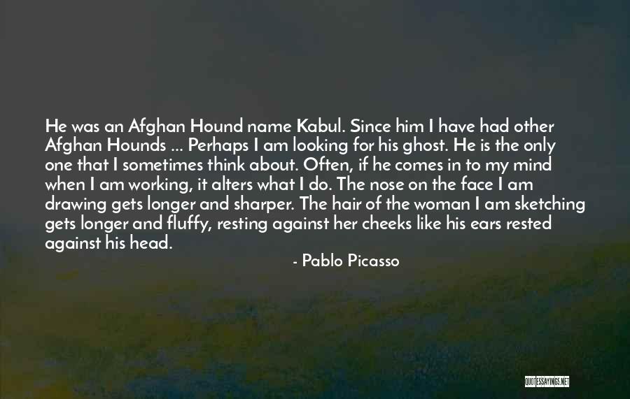 Military Retirement Ceremony Quotes By Pablo Picasso Military Retirement Ceremony Quotes By Pablo Picasso