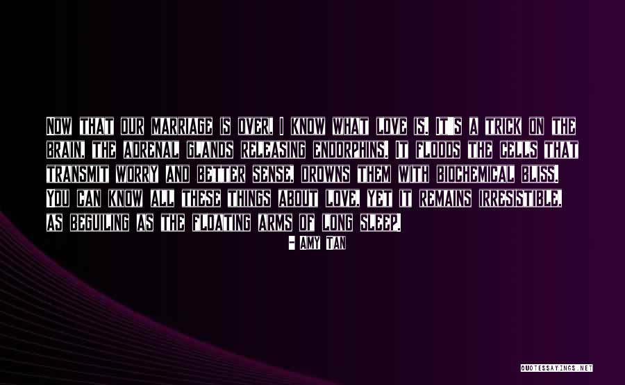 Militza Flaco Quotes By Amy Tan Militza Flaco Quotes By Amy Tan