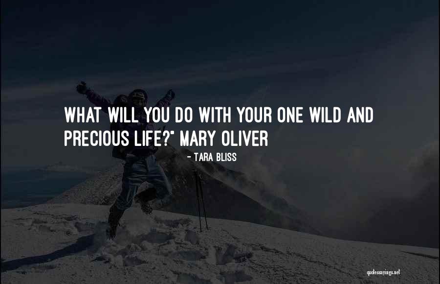 Milivoj Mavid Quotes By Tara Bliss Milivoj Mavid Quotes By Tara Bliss