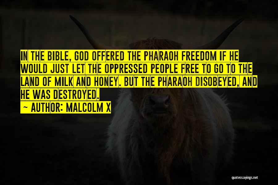 Milk And Honey Quotes By Malcolm X