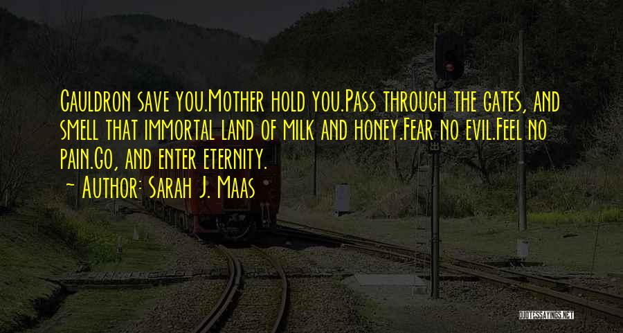 Milk Honey Quotes By Sarah J. Maas