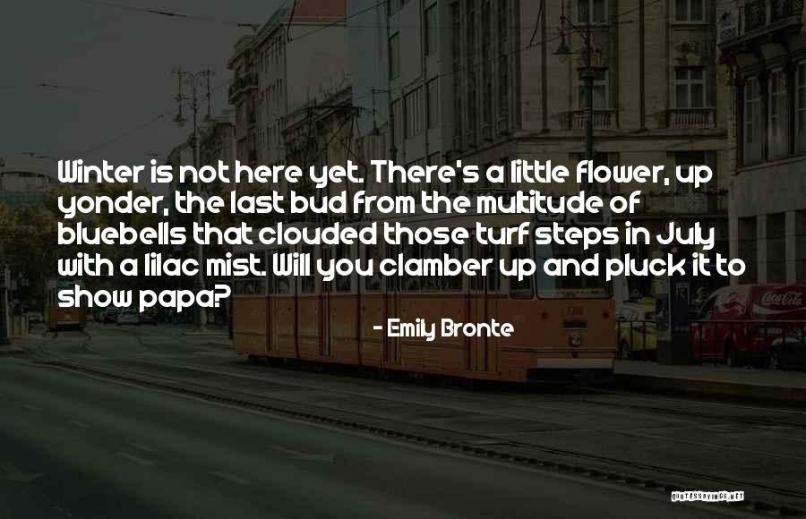 Milkmaids Swaddle Quotes By Emily Bronte Milkmaids Swaddle Quotes By Emily Bronte