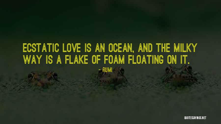 Milky Way Love Quotes By Rumi