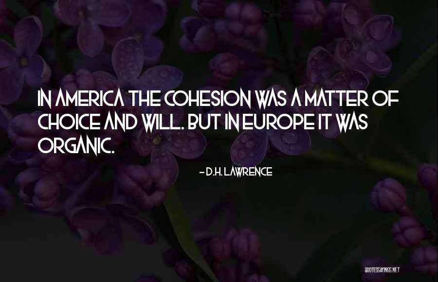 Millat Fans Quotes By D.H. Lawrence Millat Fans Quotes By D.H. Lawrence
