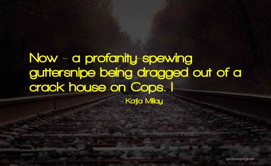 Millay Quotes By Katja Millay