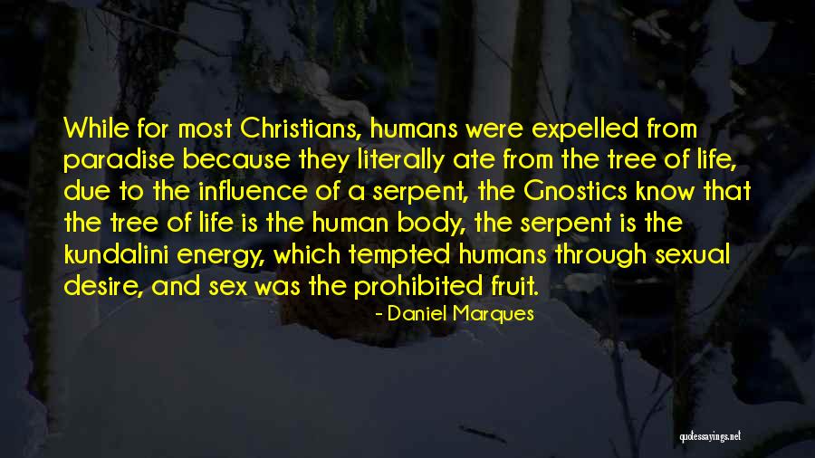 Millefolium Quotes By Daniel Marques Millefolium Quotes By Daniel Marques