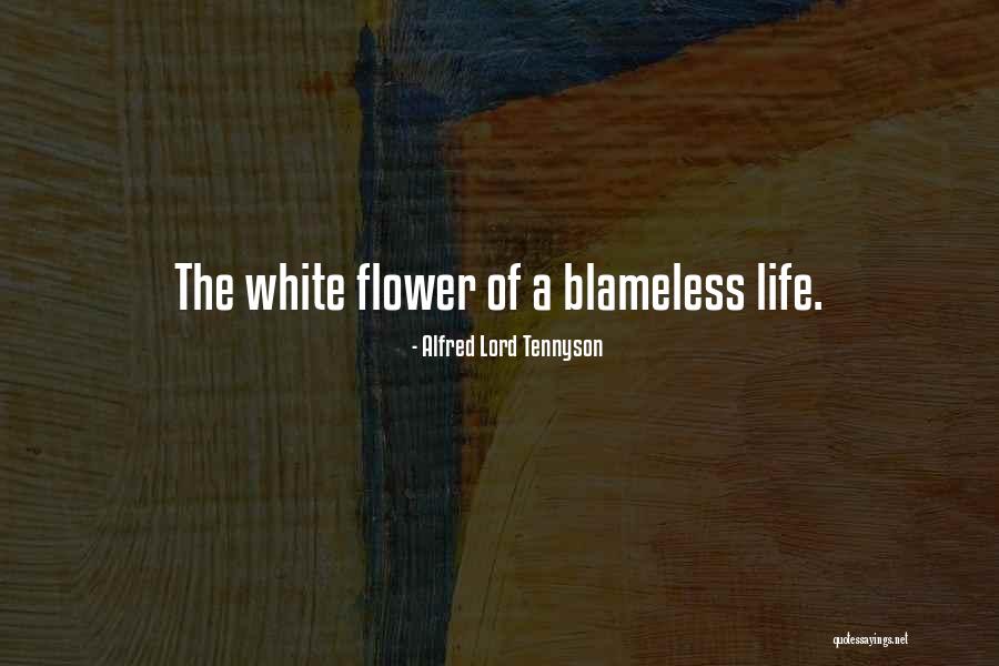 Millermena Quotes By Alfred Lord Tennyson Millermena Quotes By Alfred Lord Tennyson
