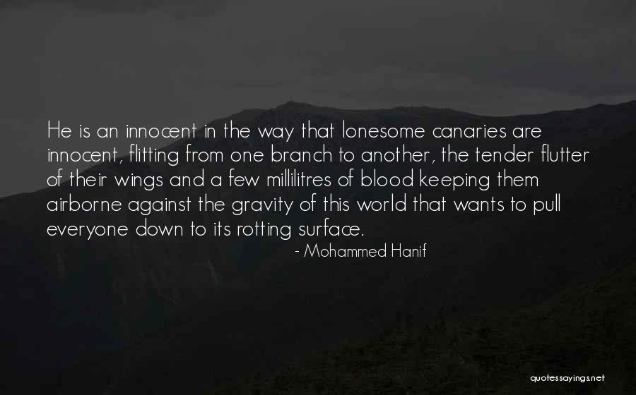 Millilitres Quotes By Mohammed Hanif Millilitres Quotes By Mohammed Hanif