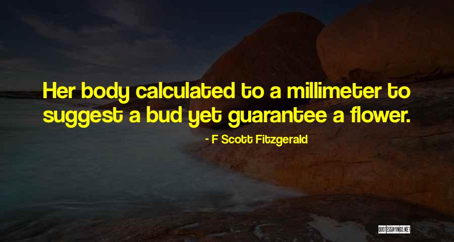 Millimeter Quotes By F Scott Fitzgerald Millimeter Quotes By F Scott Fitzgerald