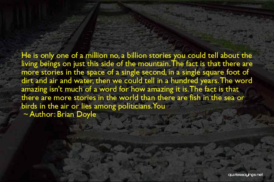 Million Air Quotes By Brian Doyle