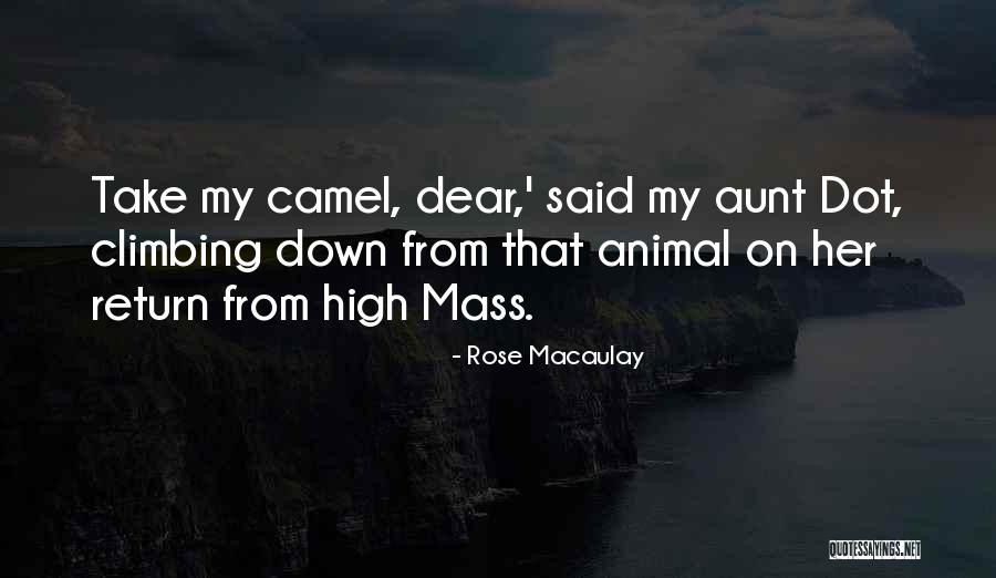Million Ants Quotes By Rose Macaulay Million Ants Quotes By Rose Macaulay