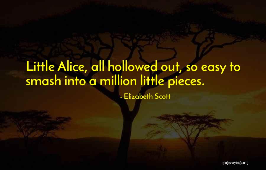 Million Little Pieces Quotes By Elizabeth Scott