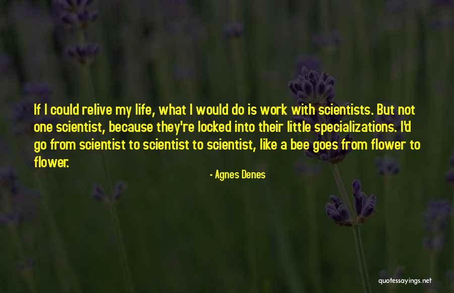 Milliyet Gazetesi Quotes By Agnes Denes Milliyet Gazetesi Quotes By Agnes Denes