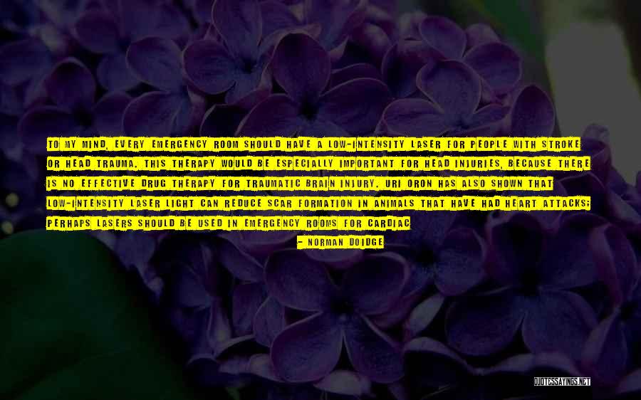 Milosh Palace Quotes By Norman Doidge Milosh Palace Quotes By Norman Doidge