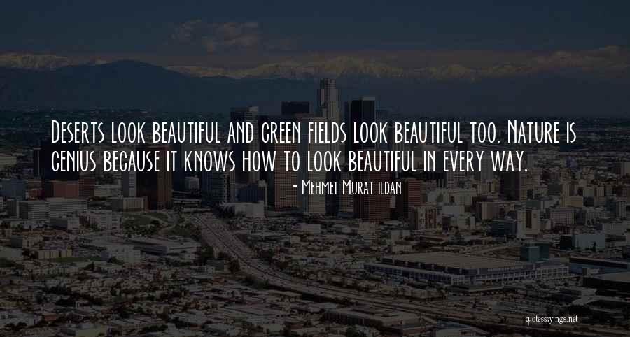 Miltos Kambourides Quotes By Mehmet Murat Ildan Miltos Kambourides Quotes By Mehmet Murat Ildan