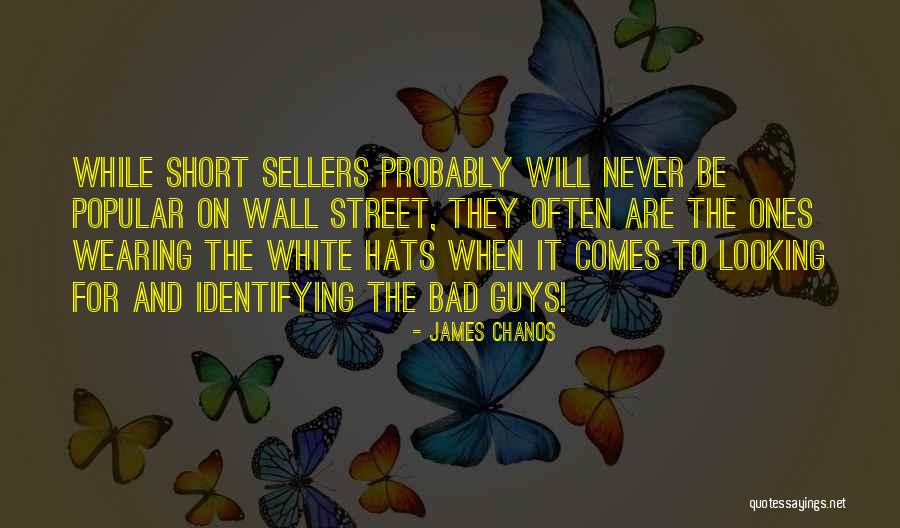 Milwaukee Movie Quotes By James Chanos