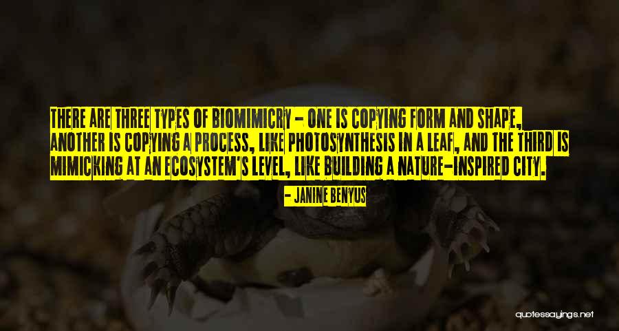 Mimicking Others Quotes By Janine Benyus Mimicking Others Quotes By Janine Benyus