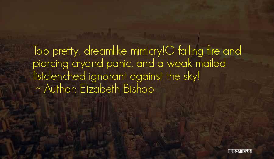 Mimicry Quotes By Elizabeth Bishop