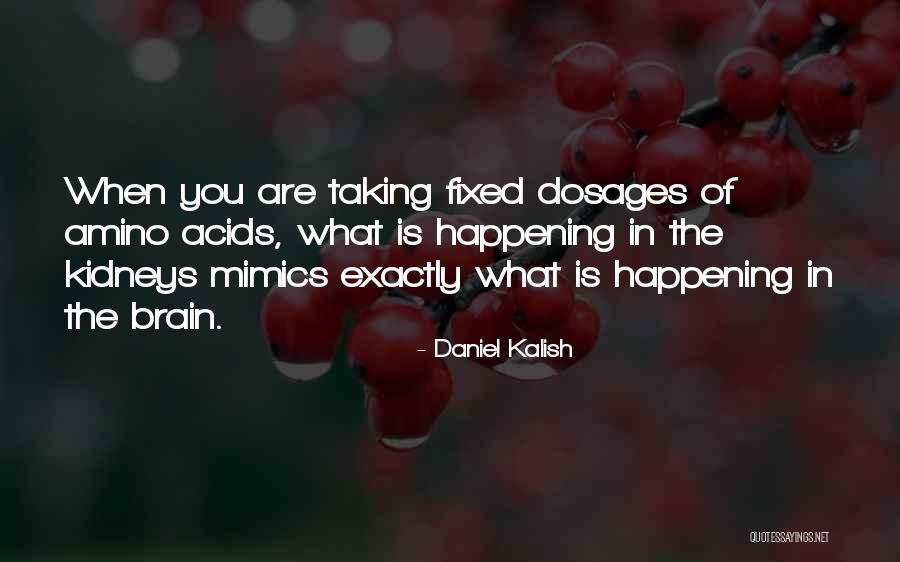 Mimics Quotes By Daniel Kalish Mimics Quotes By Daniel Kalish