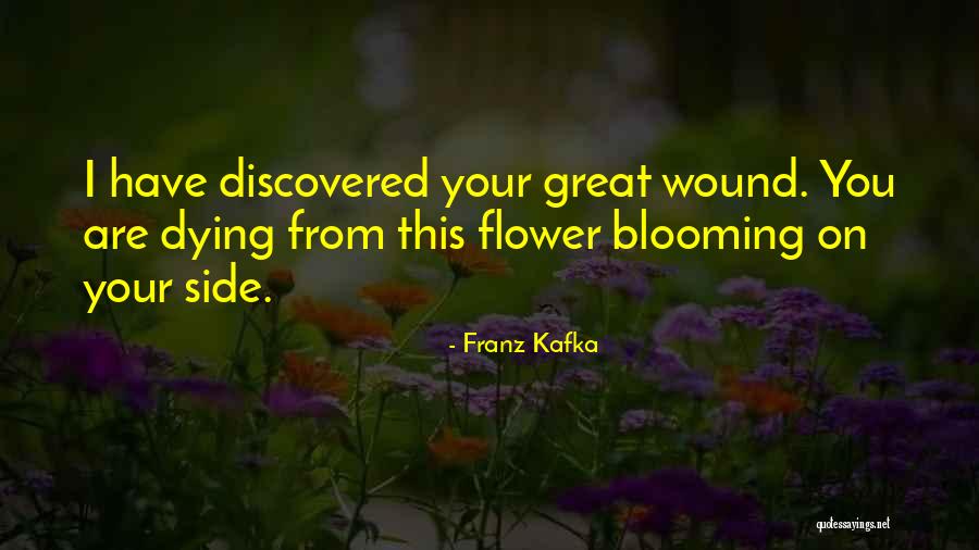 Mina Murray In Dracula Quotes By Franz Kafka