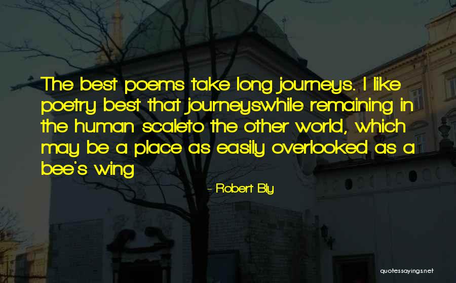 Minano Cctv Quotes By Robert Bly Minano Cctv Quotes By Robert Bly