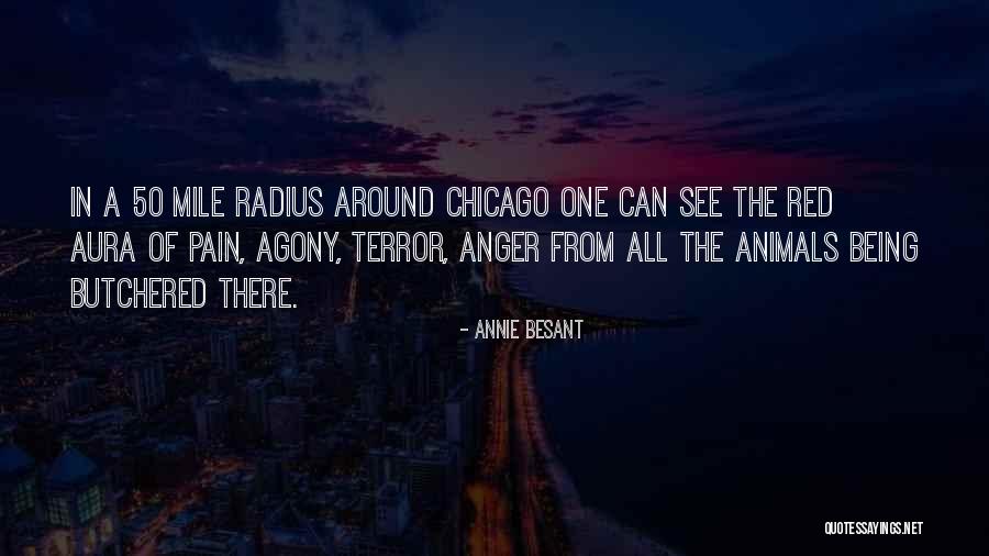 Minar Quotes By Annie Besant Minar Quotes By Annie Besant