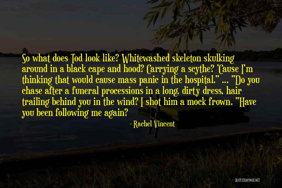 Minaret Lake Quotes By Rachel Vincent Minaret Lake Quotes By Rachel Vincent
