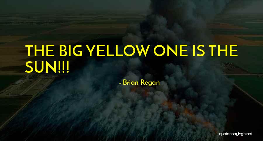 Minari Plant Quotes By Brian Regan Minari Plant Quotes By Brian Regan