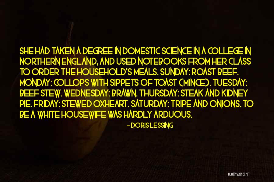 Mince Pie Quotes By Doris Lessing Mince Pie Quotes By Doris Lessing