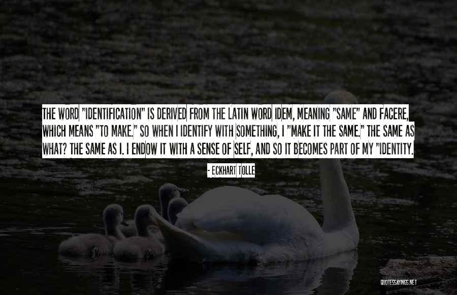 Minchinton Surfboards Quotes By Eckhart Tolle Minchinton Surfboards Quotes By Eckhart Tolle