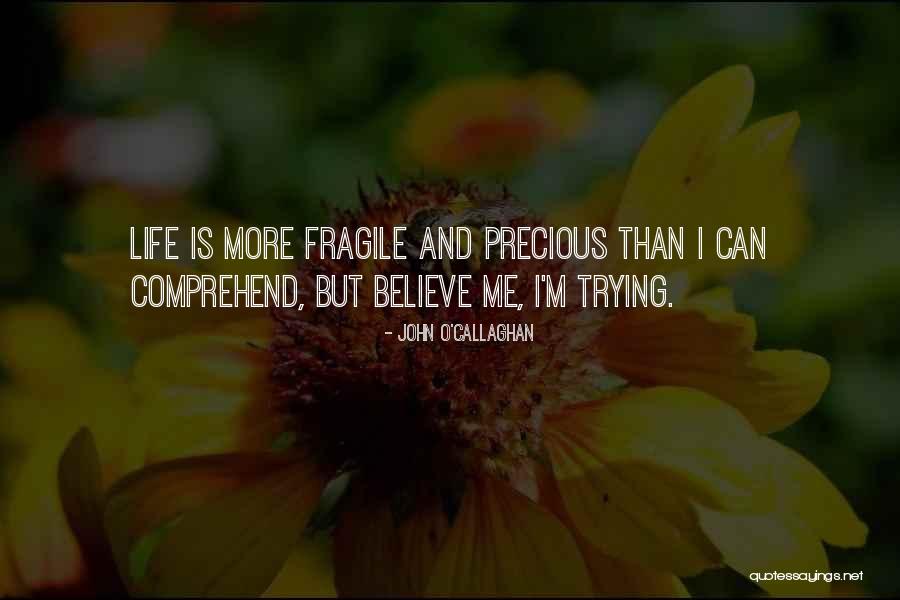 Mind And Brain Quotes By John O'Callaghan Mind And Brain Quotes By John O'Callaghan