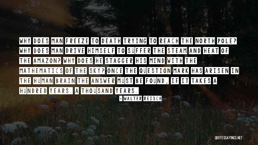 Mind And Brain Quotes By Walter Reisch Mind And Brain Quotes By Walter Reisch
