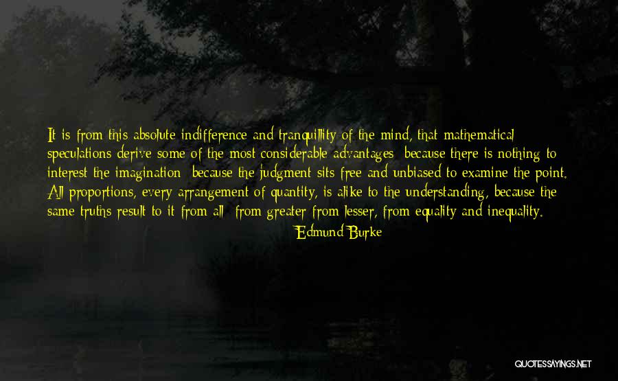 Mind And Imagination Quotes By Edmund Burke Mind And Imagination Quotes By Edmund Burke