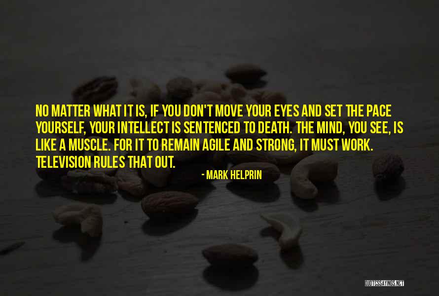 Mind And Muscle Quotes By Mark Helprin Mind And Muscle Quotes By Mark Helprin