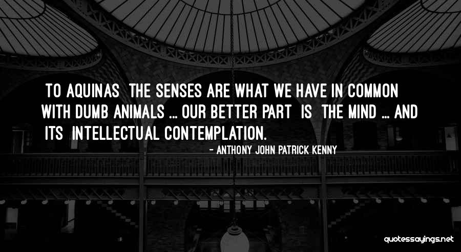 Mind And Senses Quotes By Anthony John Patrick Kenny Mind And Senses Quotes By Anthony John Patrick Kenny