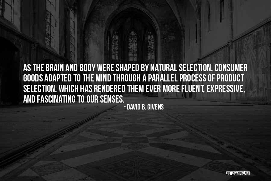 Mind And Senses Quotes By David B. Givens Mind And Senses Quotes By David B. Givens